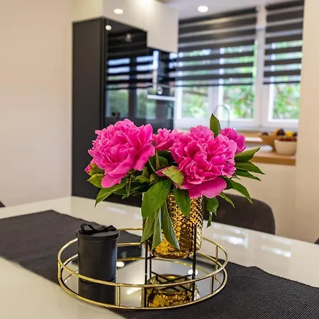 M&f Luxury Apartment Zadar
